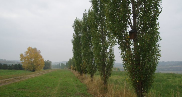 PA090009.JPG